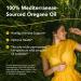 NORTH AMERICAN HERB & SPICE Oreganol P73-1 fl oz - 3 Pack - Immune Support Optimal Health - Unprocessed Certified Organic Wild Oregano Oil - Mediterranean Source - Non-GMO - 1296 Total Servings - Buy Online on GoSupps.com