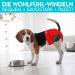 Dog is K nig Eco-Friendly Dog Diapers for Bitches - 3 Pcs Adjustable Incontinence Pants | Durable & Comfortable | M (40-53cm) - Red Blue Green - Buy Online on GoSupps.com