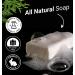 Sylvan Art Cedar Citrus Men's Organic Soap Bar - Handmade with Essential Oils - 5.5 oz - Buy Online on GoSupps.com