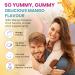 nETiXER Probiotic Gummies with Vitamin C, Vitamin B12, Folic Acid, Zinc, Niacinamide, Riboflavin & Probiotics (40 Million CFU) | 60 Vegan Gummies | Mango Flavor | Gluten-Free | Individually Wrapped - Buy Online on GoSupps.com