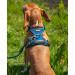 Buy Lionto Padded Anti-Pull Dog Harness - Reflective & Adjustable Safety Harness Size S Blue - International Shipping Available - Buy Online on GoSupps.com