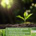BEESI 100g Turtle Seed Mix for Fodder Plants - Includes Sowing Instructions & Herbs | International Shipping Available - Buy Online on GoSupps.com