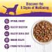 Wellness Grain Free Chicken Stew Canned Dog Food, 12.5 oz (Pack of 12) - Thick & Chunky - Buy Online on GoSupps.com