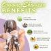 WIC Family Naturals Organic Shampoo and Conditioner Set For All Hair Types Phthalate Paraben & Sulfate Free Shampoo and Conditioner Gentle Formula (Lavender 16oz) Lavender 473 ml (Pack of 2) - Buy Online on GoSupps.com