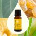 Plant Therapy Immune Aid Essential Oil Blend 10 mL (1/3 oz) 100% Pure Undiluted Natural Aromatherapy Natural Immune Support Fresh Scent - Buy Online on GoSupps.com