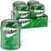 Trident Unwrapped Spearmint Sugar Free Gum, 4 Bottles of 50 Pieces (200 Total Pieces) Spearmint 50 Count (Pack of 4)
