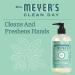 Mrs. MEYER'S CLEAN DAY Liquid Hand Soap Mint (12.5 Fl Oz (Pack of 6)) - Buy Online on GoSupps.com