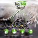Black Tea Ceylon BOP Uva Highlands UniTea Land 100 grams - Buy Online on GoSupps.com