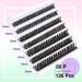 D Curl DIY Eyelash Extension Kit - 126 Fluffy Wispy Lash Clusters - Strong Hold - 80P-10-16mm Mix - Buy Online on GoSupps.com