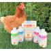 Chick'n Calcium & Vitamin D3 Supplement for Poultry Chicks and Turkeys - Buy Online on GoSupps.com