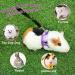 Ferret Harness Hamster Clothes Rabbit Harness Hamster Harness and Leash Set for Guinea Pigs Hamster Ferret Rabbit Chinchilla and Similar Small Animals (Purple) - Buy Online on GoSupps.com