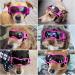 Small Dog Glasses with UV Protection | Windproof & Fogless Pet Eyewear - Soft Frame in Pink - Buy Online on GoSupps.com