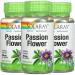 Solaray, (3 Pack) Passion Flower, 350 mg, 100 VegCaps