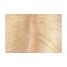 Revlon Permanent Hair Color Dye - 9 Light Blonde | At-Home Root Erase Kit - 100% Gray Coverage | 3.2 Fl Oz Brush Applicator - Buy Online on GoSupps.com