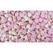 Buy CAPTAIN PLAY Foam Sugar Mushrooms Strawberry - 500g Party Bucket of Retro Sweets | Bulk Pack Available for International Shipping - Buy Online on GoSupps.com