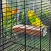 Niteangel Parrot Cage Perch - Wooden Platform for Birds (2 Pack) - Buy Online on GoSupps.com