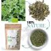 ORIGEENS Organic Nettle Tea 100g | Detoxifying Stinging Nettle Leaf Herbal Tea | Draining & Remineralizing | Organic Nettle Tea - Buy Online on GoSupps.com