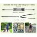 Pecute Two Jogging Lines for Medium & Large Dogs | Elastic Running Leash with Belt Bag | Up to 100kg | Durable Dog Leash in Gray - Buy Online on GoSupps.com