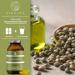 Qidosha Hemp Seed Oil Capsules - High Dose 2000mg Daily 180 pcs Cold-Pressed Omega 3 6 9 1000mg per Capsule - Premium Quality - Buy Online on GoSupps.com