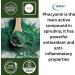 YAMKAY Natural Spirulina Powder (300 GM) - Buy Online on GoSupps.com