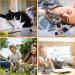 Onenine Electric Cat Toys - Interactive Play Mouse with Spring Tail & USB Cable | Boost Your Cat's Playtime & Combat Boredom - Buy Online on GoSupps.com