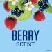 Secret Deodorant for Women - Fresh Clear Gel, Berry Scent, 3.4 Oz (Pack of 3) - Buy Online on GoSupps.com