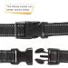 Heele Soft Padded Neoprene Dog Collar - Adjustable Reflective Collar for Small & Medium Dogs | XS Size (20-30 cm) - Perfect for Training - Buy Online on GoSupps.com