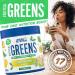 Applied Nutrition Critical Greens - Super Greens Powder | Boost Immune System | Superfood Nutrients | Vegan | Lemon & Lime 150g - 30 Servings - Buy Online on GoSupps.com