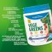 Progressive Vegegreens Blueberry Medley Flavour 530 g Anti-Inflammatory plus Liver & Digestion Support Blueberry Medley 530 g - Buy Online on GoSupps.com