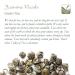 Buy Jasmine Dragon Pearl Green Tea - Organic Loose Leaf - 40g | Premium Chinese Jasmin Pearls for International Shipping - Buy Online on GoSupps.com