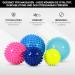 Buy MSports Massageball 5 Set | Igelball for Ultimate Muscle Relief - Fast International Shipping - Buy Online on GoSupps.com