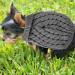 Rumyve Knitted Jumper and Warm Dog Sweater Classic Turtleneck Knitted Dog Sweater Dog Winter Clothing for Small and Medium Sized Dog Pet Clothing(S) - Buy Online on GoSupps.com