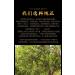 Pu-erh tea 2023 357g Raw - Buy Online on GoSupps.com
