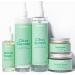 WildMint 5-Step Superfood Clear Skin Kit | Natural Cleanser Toner Serum Face Oil & Moisturiser | Skincare for Acne Sensitive Dark Spots Dry & Mature Skin | UK Made Vegan & Cruelty-Free Skincare - Buy Online on GoSupps.com