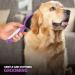 Soft Bristle Dog Brush for Short Haired Cats or Dogs - Removes Dust, Dirt, and Loose Fur - Firm Bristles with Hook and Rubber Handle - Buy Online on GoSupps.com