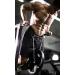 FITTEGE DIP Belt with Chain & 2 Carabiners | Black Weight Lifting Belt for Bodybuilding & Strength Training - Durable Fitness Accessory - Buy Online on GoSupps.com