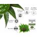 AYURVEDASHREE Neem Leaf Powder 100 Gm | Wild Crafted Azadirachta Indica Supplement | Skin, Hair, and Detox Support | Non GMO - Gluten Free - Vegan - Buy Online on GoSupps.com