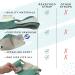 ReadyGoo Emerald Face Slimming Strap with Graphene | Double Chin Reducer & Jawline Shaper | Skin Toning Belt for Men & Women | Anti-Wrinkle Face Lift Solution - Buy Online on GoSupps.com