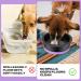 Fretonba 500ml Leak-Proof Travel Dog Water Dispenser - Portable Drinking Bowl for Cats & Dogs - Purple - Buy Online on GoSupps.com