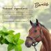 Barnie s All-Natural Horse Treats Vitamin-Enhanced Locally Sourced Canadian-Made Biscuits for Horses | 4 Flavours (Classic Apple Watermelon Peppermint) (3.5kg Peppermint) - Buy Online on GoSupps.com