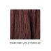 Prorituals Hair Color Cream Dark Red Violet 5RV/5.62 - Vibrant Color Long-Lasting Shine | Buy Internationally - Buy Online on GoSupps.com