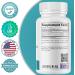 2nd Springs ALA & ALC Complex + Super B-100 Complex Bundle | Energy Metabolism Nerve Health Cognitive Support Stress Balance & Daily Wellness - Buy Online on GoSupps.com