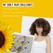 Jane Carter Solution Curl Defining Cream (6oz) - Frizz Reduction | Nourishing | Lightweight - Buy Online on GoSupps.com