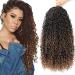6 Packs Curly Faux Locs Crochet Hair 18 Inch Goddess Locs Crochet Hair Hippie Locs Synthetic Braids Boho Style Hair Extensions (18 Inch 6 Packs T1B/30) T1B/30 18 Inch (Pack of 6)