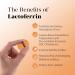 MEIBOTAN lactoferrin Supplement with Vitamin C for Men & Women Reduces Oxidative Stress Antioxidants Strengthens Immunity Protects Against Infections- 60 Veg Capsules - Buy Online on GoSupps.com