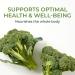 Shop MegaFood Women Over 55 One Daily - 90 Tablets for Optimal Health - Buy Online on GoSupps.com