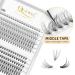 Buy 240 Individually Quewel Eyelashes - 10D+20D D Curl Mix 8-14mm | Reusable False Eyelashes for Stunning Eye Makeup - Buy Online on GoSupps.com