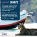 Gunnis Cod Mini Morsel Natural Cat Treats - 100% Pure Icelandic White Fish Healthy Cat Treats. Hypoallergenic Omega Rich Low Fat Sustainably Sourced Cat Snacks. No Additives or Fillers. 42.5g 42.5 g (Pack of 1) Cod Mini Morsel - Buy Online on GoSupps.com