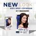 Clairol Root Touch-Up 6G Light Golden Brown Hair Dye - Pack of 2 - Buy Online on GoSupps.com