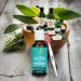 Jason Skin Oil Tea Tree Essential Oil 30ml | Pure Non-Comedogenic Skin Care | Bundle with Nose Cleaning Brush | Multipurpose & Chemical-Free | Pack of 4 - Buy Online on GoSupps.com